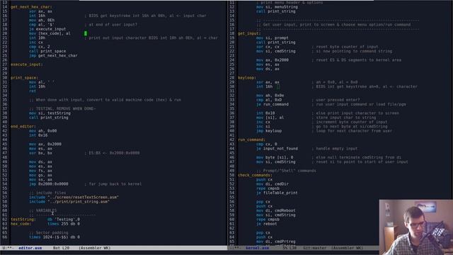 Amateur OS Dev - Hex monitor / Starting Editor смотреть онлайн