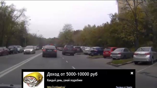 Приколы с животными видео самые