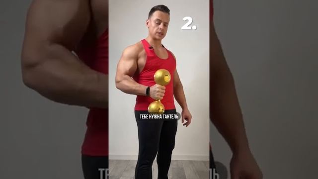 Как накачать мощные предплечья?