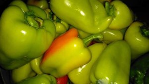 Заправка для супа из сладкого перца в томате на зиму