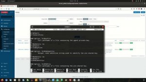 PSK zabbix agent linux debian