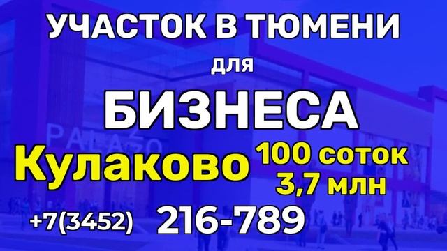 схема размещения нестационарных торговых объектов тюмень