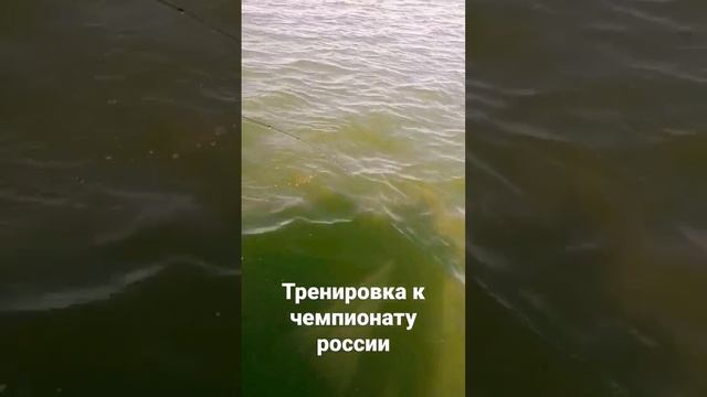 Трофейная щука,  на водохранилище. чемпионат России 2023 по ловле спиннингом с лодок