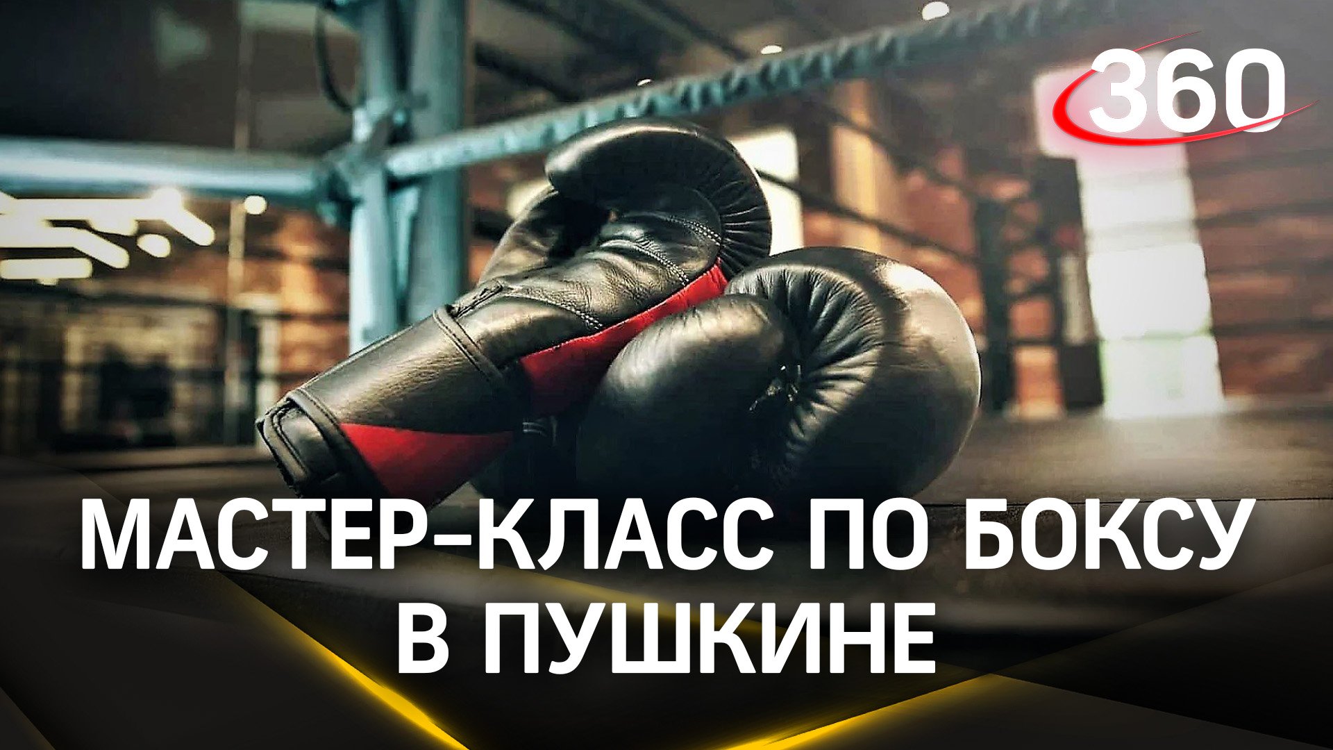 Спорт передачи на сегодня