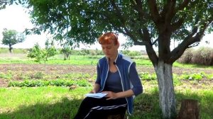 Опять про овсяный кисель. Для начинающих