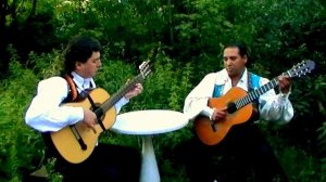 Цыганская Гитара - венгерка - Пётр Янышев и Жан Соломоденко