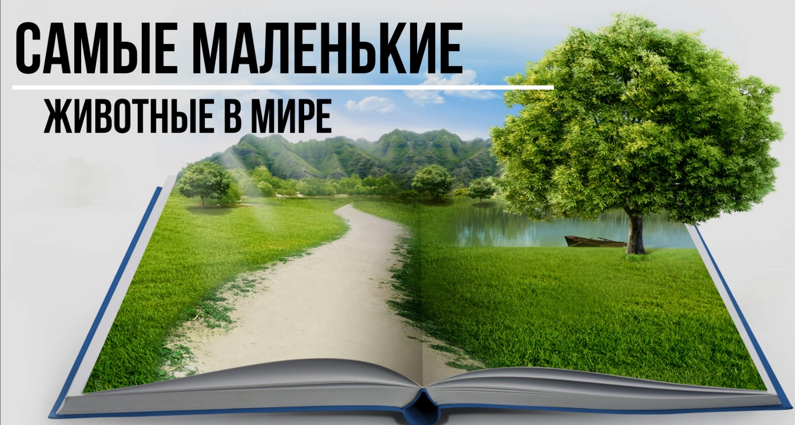 Самые маленькие животные в мире