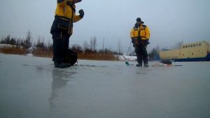 Финский залив.Окунь на блесну, первый лед