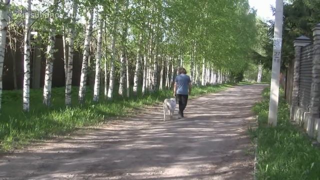 [Часть 2] Несколько упражнений для отработки команды РЯДОМ смотреть онлайн