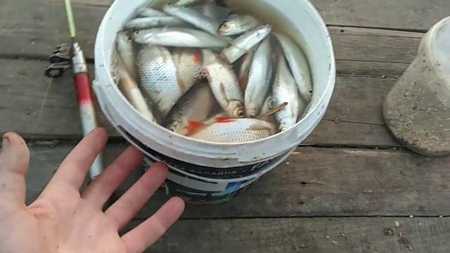 Сколько можно заработать на рыбалке. Как заработать школьнику. Как заработать на рыбалке.
