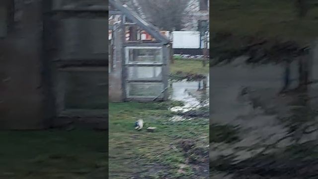 На новой даче сюрприз ...#образование #осень2023 #подпишись