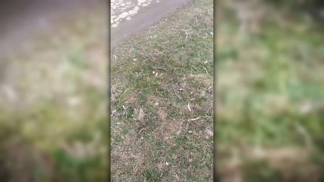Российская армия уже в Харькове