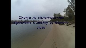 Ловля Пеленгаса на Дону, в Ростове-на-Дону + дорога к рыбному месту.