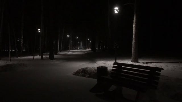 Зимним вечером. Городской парк г.Верхняя Пышма смотреть онлайн