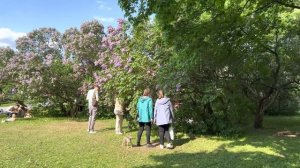 ⁴ᴷ A PARADISE FOR RUSSIAN PEOPLE IN MOSCOW ?? Walking tour of the Lilac Garden ?- (HDR + 3D sound)