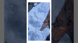 Ямаха Браво 250 провалился