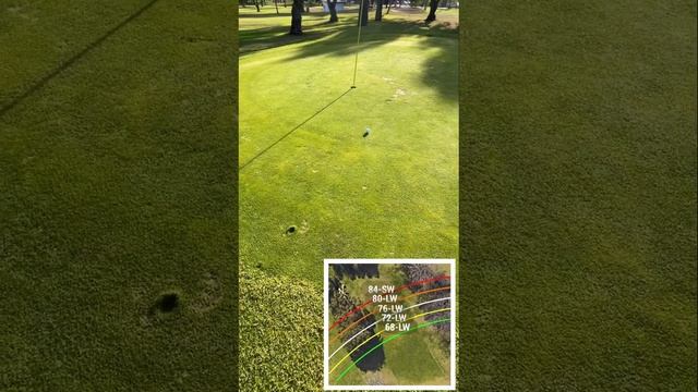 Golf Practice with my Favorite App | Swing U смотреть онлайн