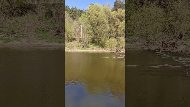 ВОЛШЕБНЫЙ САКСОФОН? ПРИРОДА. РЕЛАКС