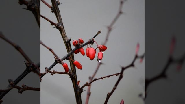 Another Dimension смотреть онлайн