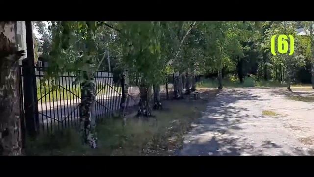 "ДАР" (6) Клад в дупле берёзы. смотреть онлайн