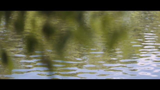 Богдан+ Галина 11 05 19 свадебный тизер смотреть онлайн