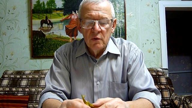 Почки очистка от камней и песка