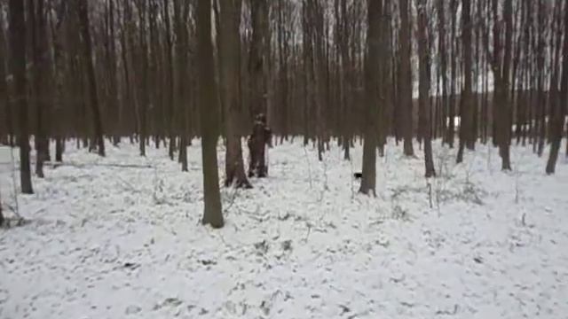 обучение ягда поиску 1 (Дан 4,5 м) смотреть онлайн