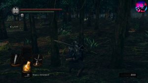 Прохождение Dark Souls Remastered. Серия 34: Святилище Олачиля или добро пожаловать в DLC