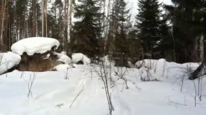 Машины вездеходы!