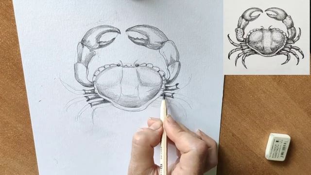 Как нарисовать краба карандашом. Мастер-класс // Short pencil drawing tutorial: crab смотреть онлайн