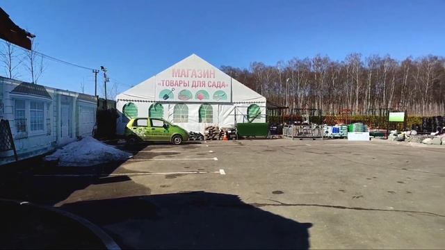 Едем в питомник Южный за лиственницей Стифф Випер. Посадка лиственницы на штамбе Stiff Weeper смотреть онлайн