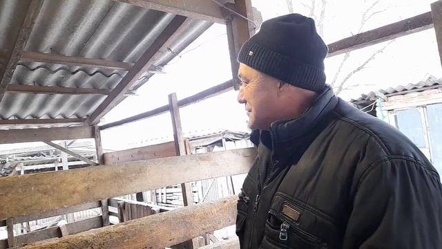 Продали быков.Итог смотреть онлайн