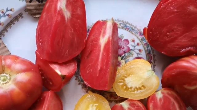 #дегустация Пробуем томаты смотреть онлайн