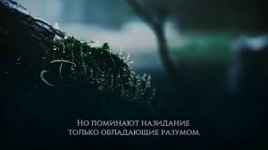 Абдуррахман массад красивые чтение Корана