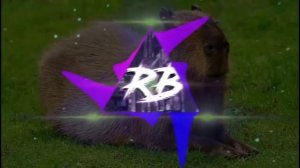 Капибара | Phonk Edition 1 час Capybara | Phonk Edition 1 hour