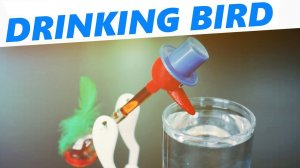 Пьющая птичка (Drinking bird)