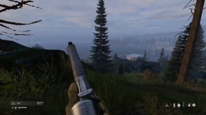 Dayz sniping with a VSS