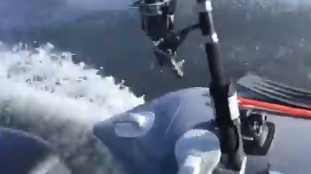 Kolibri km-330 & Parsun t9.8bms смотреть онлайн