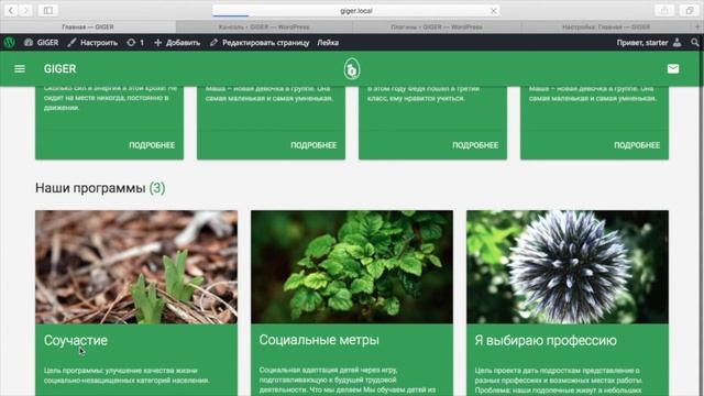 Гигер - онлайн-конструктор сайтов НКО смотреть онлайн