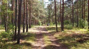 Озеро Светец, Светецкое болото и Убитое поле