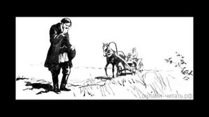 Лошадиная фамилия. А.П.Чехов. Аудиоверсия.