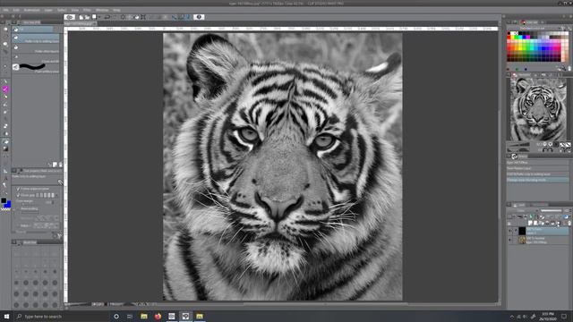 How to turn an image black and white – Clip Studio Paint Tutorial смотреть онлайн