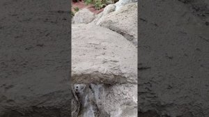 Камни и мостик своими руками в японском саду.