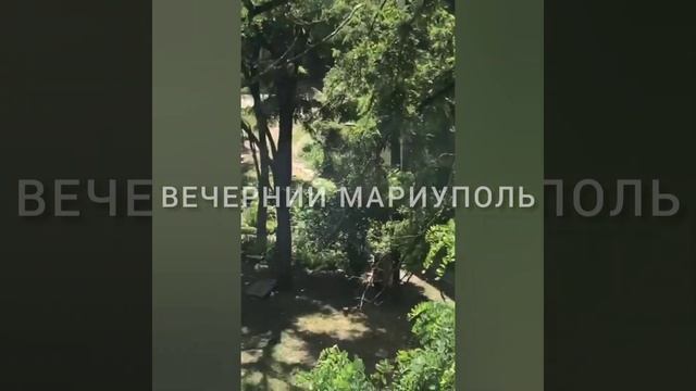 Нашествие божьей коровки в Мариуполе смотреть онлайн