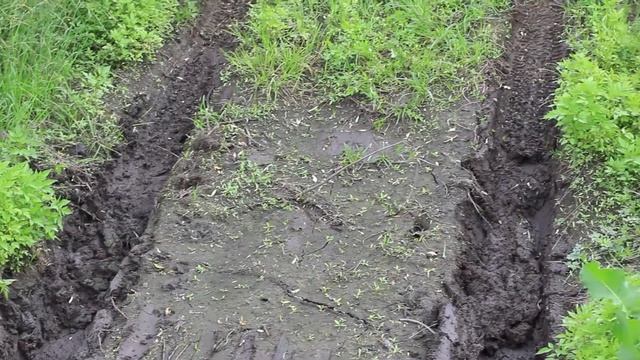 VW Promo смотреть онлайн