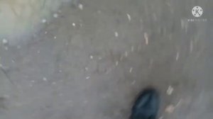 Поиск минералов в керчи N.2