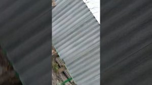 Забор из шифера дёшево и сердито, дешевле профнастила. Пользуйтесь.
