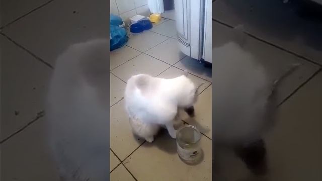 Как же вкусно. смотреть онлайн