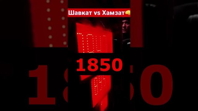 У кого сильнее удар? Шавкат Рахмонов vs Хамзат Чимаев