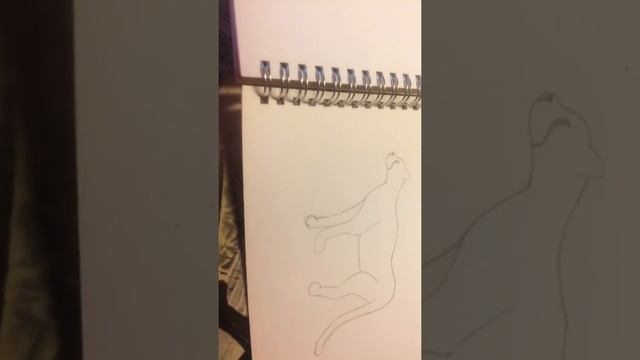 Рисуем гепарда который стоит 1# смотреть онлайн